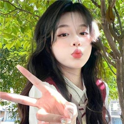 我和寻回犬的十个约定